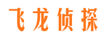 盐源市婚外情调查